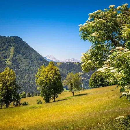 With Balcony And Sauna Flachau