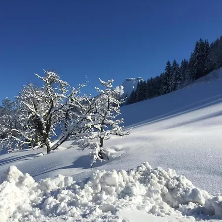 Apartament With Balcony And Sauna Flachau