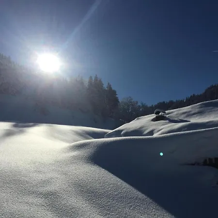 With Balcony And Sauna * Flachau