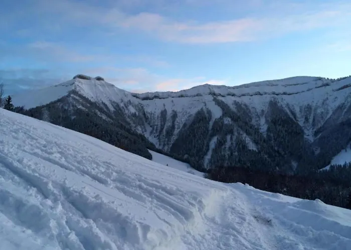 Apartamento With Balcony And Sauna *