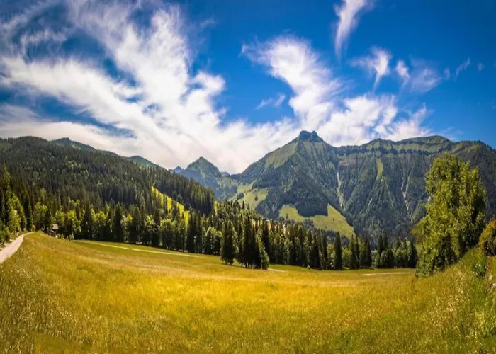 With Balcony And Sauna Appartamento