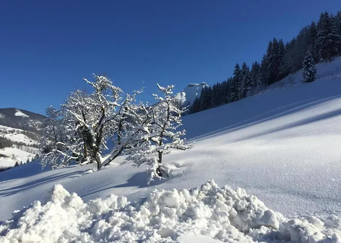 Apartamento With Balcony And Sauna Flachau