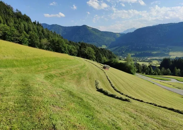 With Balcony And Sauna Apartamento