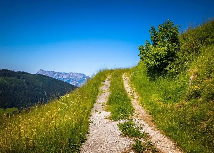 With Balcony And Sauna Appartamento *